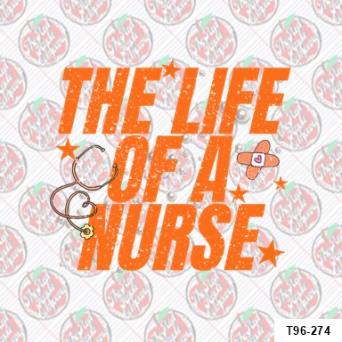 The Life of a Nurse