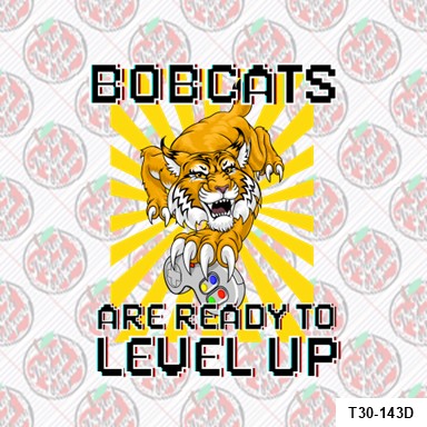 Ryan Elementary Ready To Level Up
