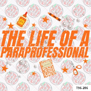 The Life of a Paraprofessional