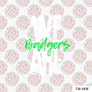 WE ARE BADGERS — Bruni Elementary