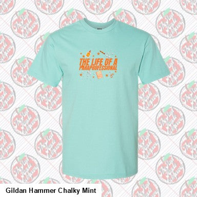 The Life of a Paraprofessional