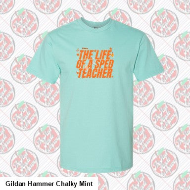 The Life of a Sped Teacher