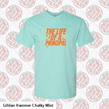 The Life of a Principal