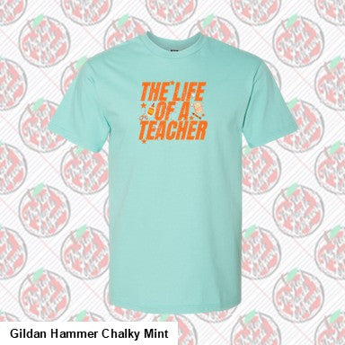 The Life of a Teacher