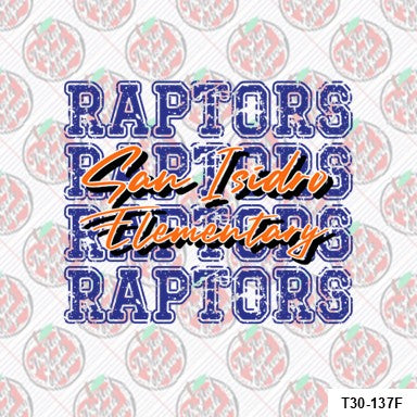 Raptors 4X - blue