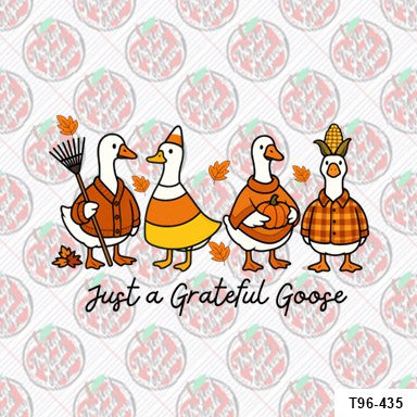Just a Grateful Goose