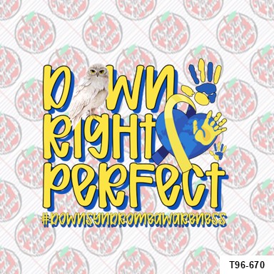 Down Right Perfect Owl