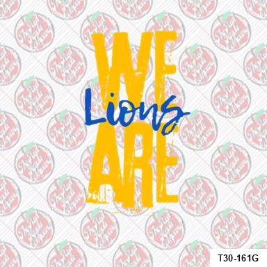 We Are Lions-Kazen Elementary