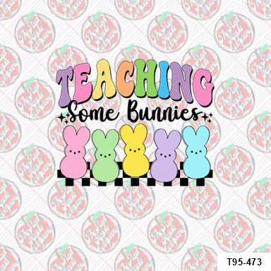 Teaching Some Bunnies