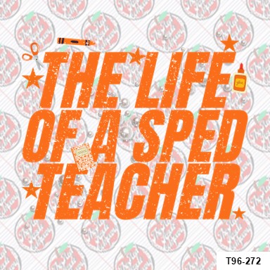 The Life of a Sped Teacher
