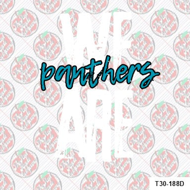 We Are Panthers-United South High School