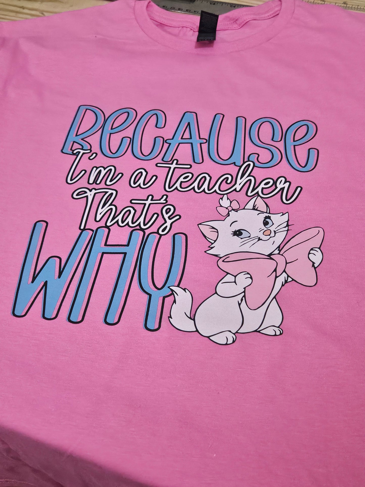 Because I am a Teacher